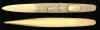 gridley_model1.jpg (179308 bytes)
